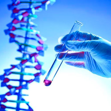 POR QUÊ SOLICITAR UM EXAME GENÉTICO?